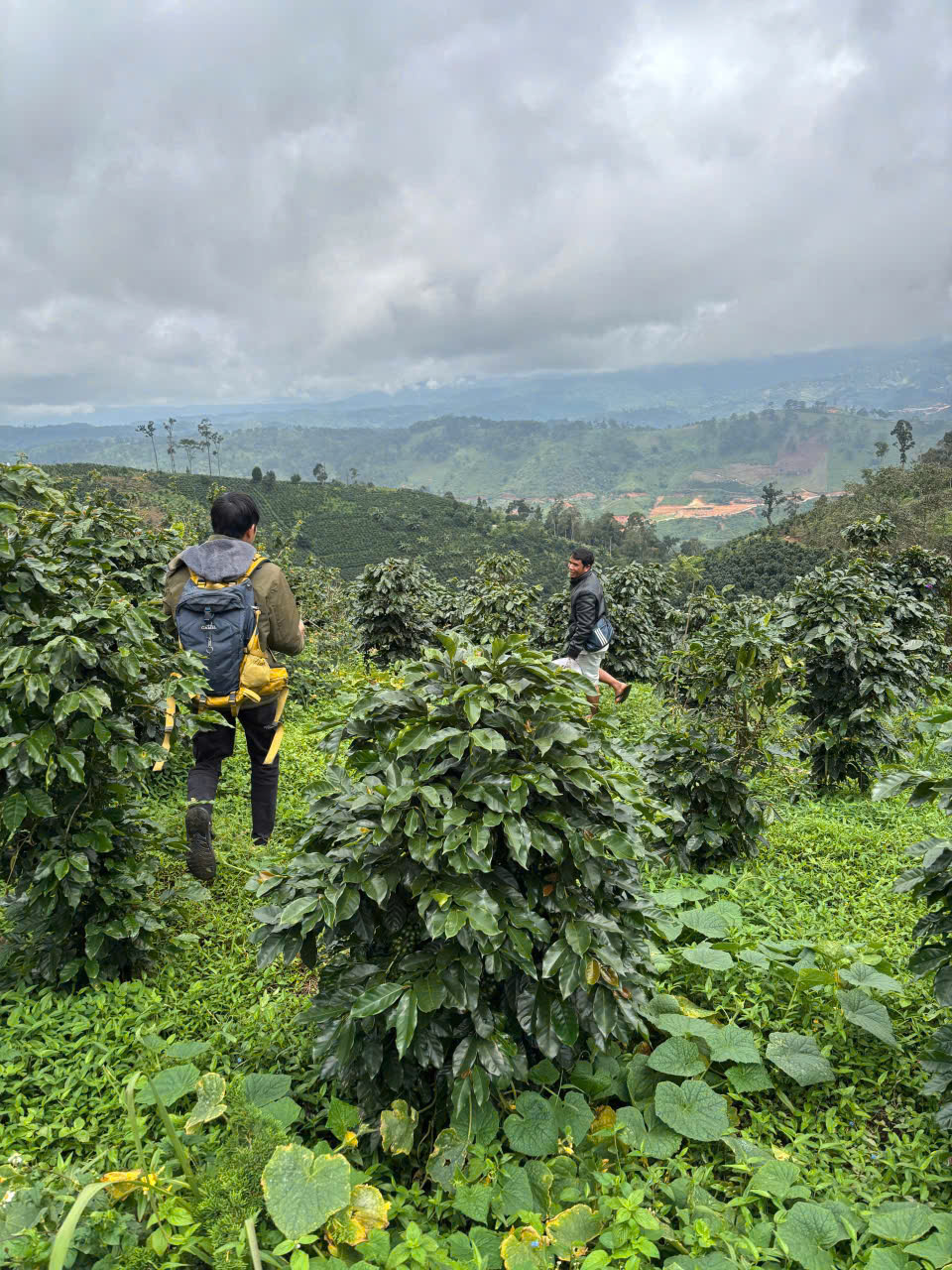 Walking through a farmer’s garden in Xã Lát: a quiet moment of connection among crops, earth, and community knowledge.