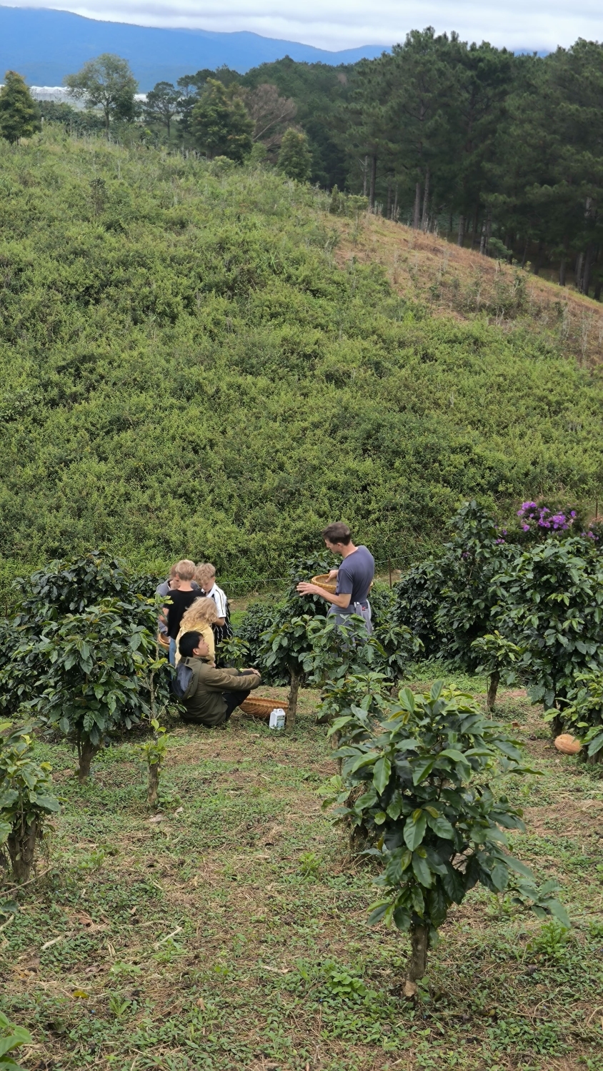 Conversation between local coffee producer and guests about sustainable farming and the global challenges of coffee production in Da Lat, Vietnam