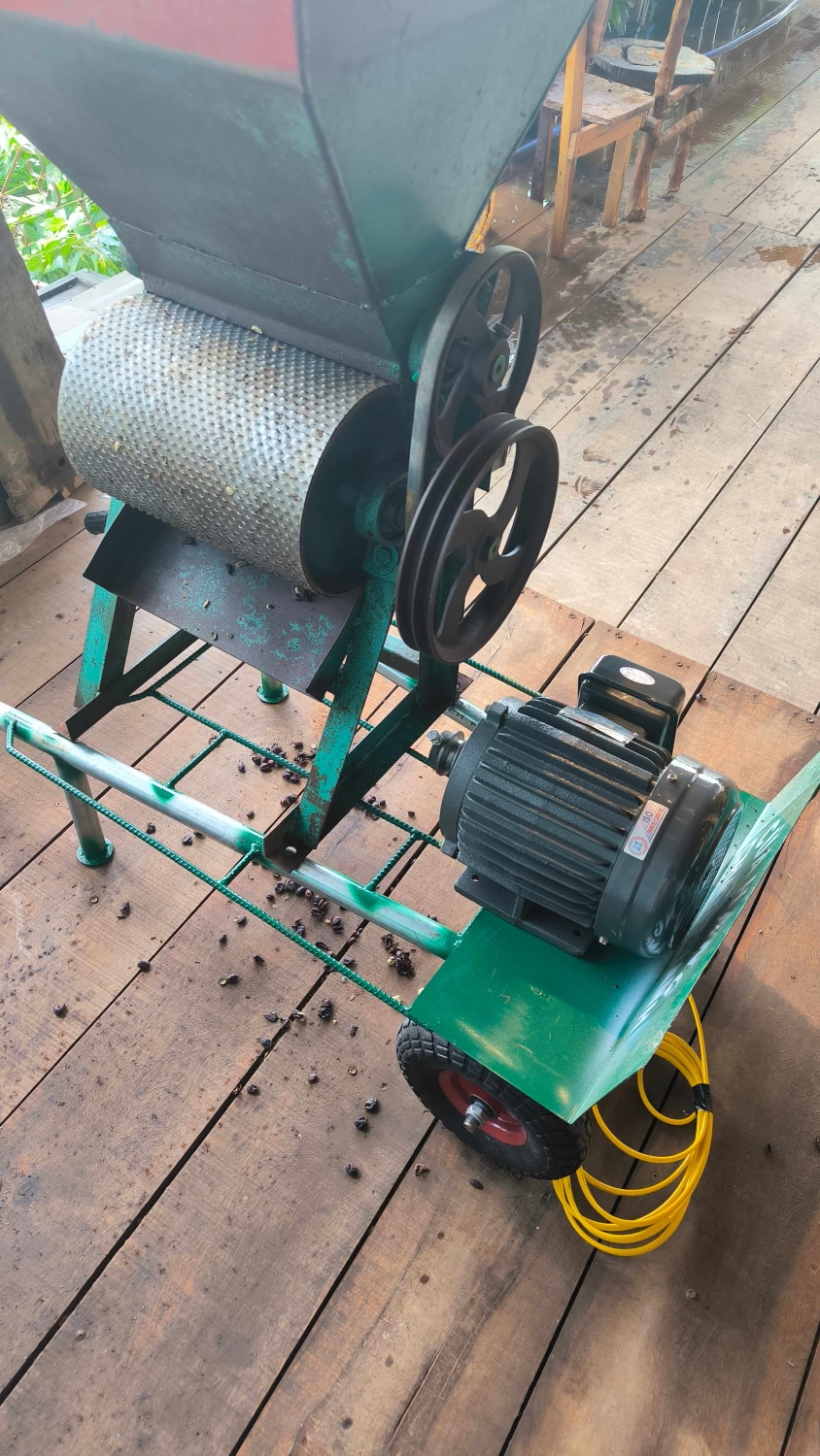 Structure of the coffee pulping machine at HuyEco Coffee & Culture, featuring input hopper, rotating shaft to remove mucilage, cam wheel, and electric motor.
