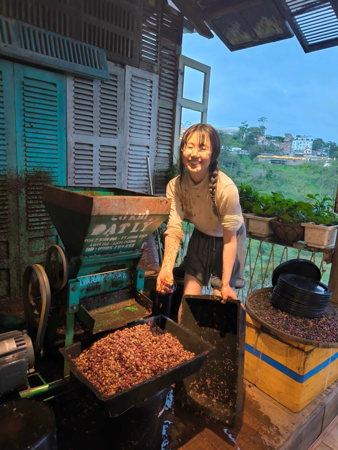 Freshly pulped coffee beans at HuyEco Coffee & Culture, coated with sweet mucilage that defines the Honey process.