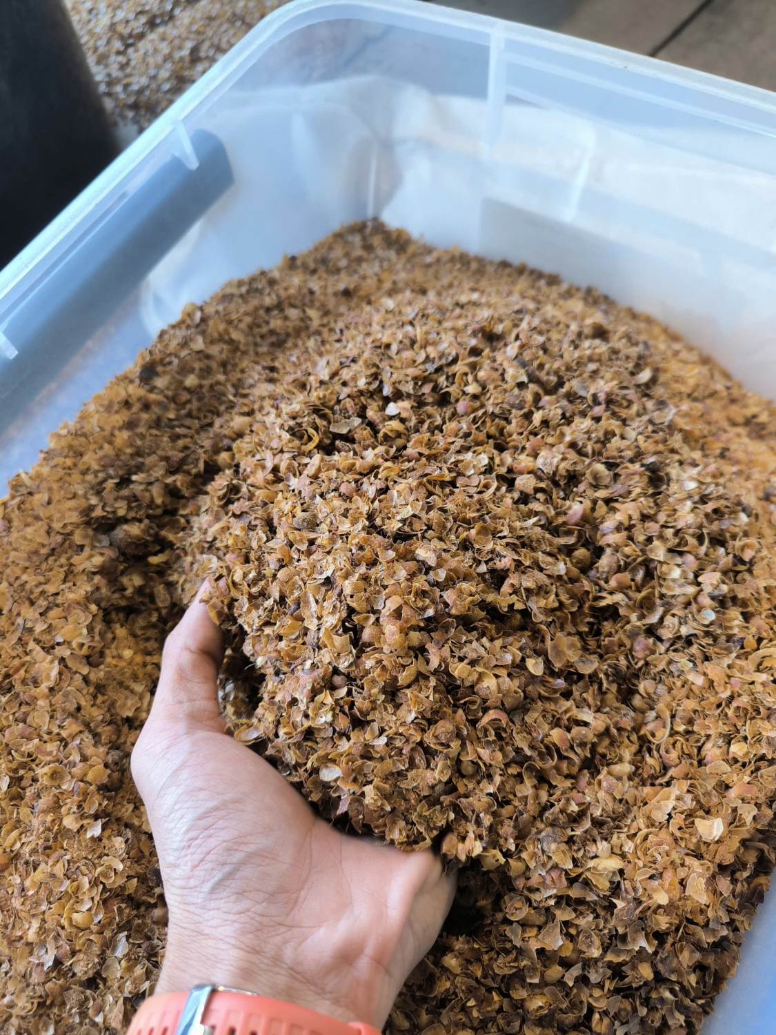 Coffee husks separated from beans after dry hulling, showing the parchment layer removed by the motor‑powered machine at HuyEco Coffee & Culture.