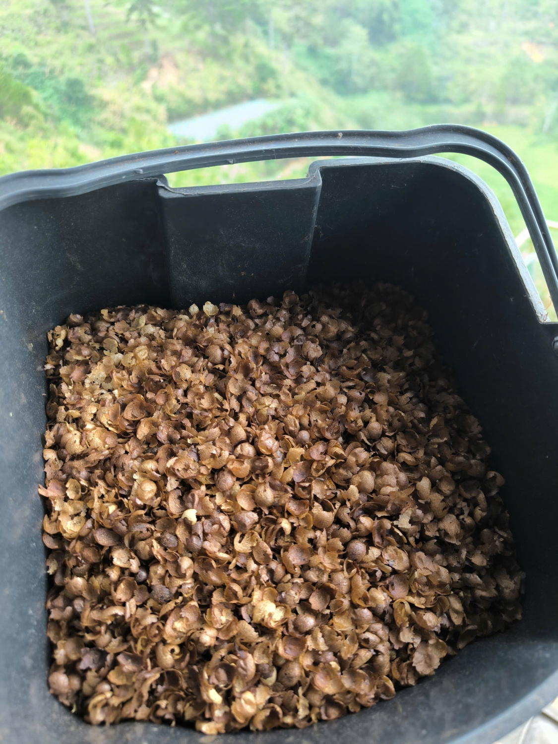 Coffee silverskin husks collected after roasting at HuyEco Coffee & Culture, reused as compost for sustainable organic farming in Da Lat.