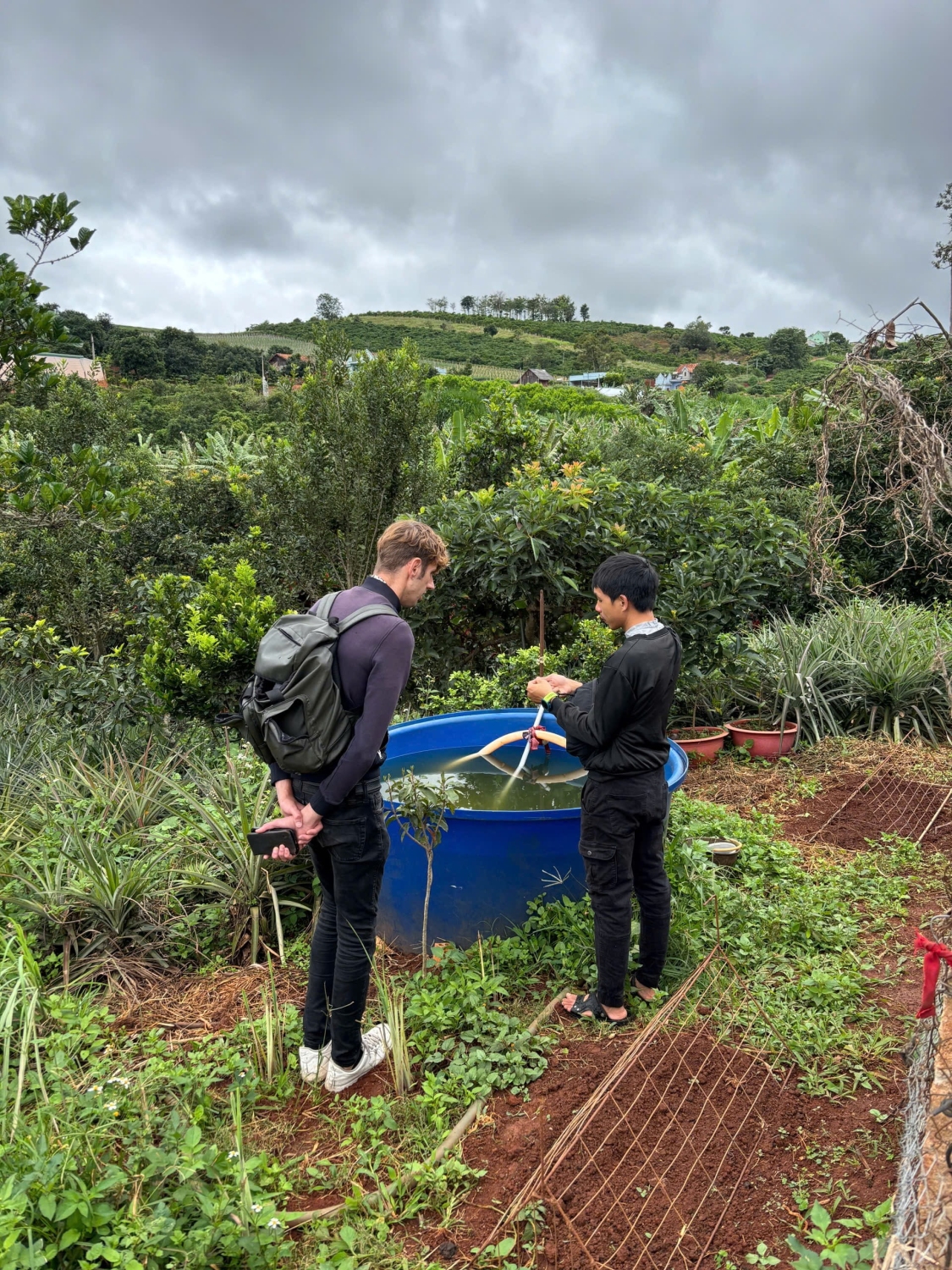 Visitors in a forest-garden coffee farm with Arabica, Robusta, fruit trees, and free-range animals at HuyEco Da Lat.