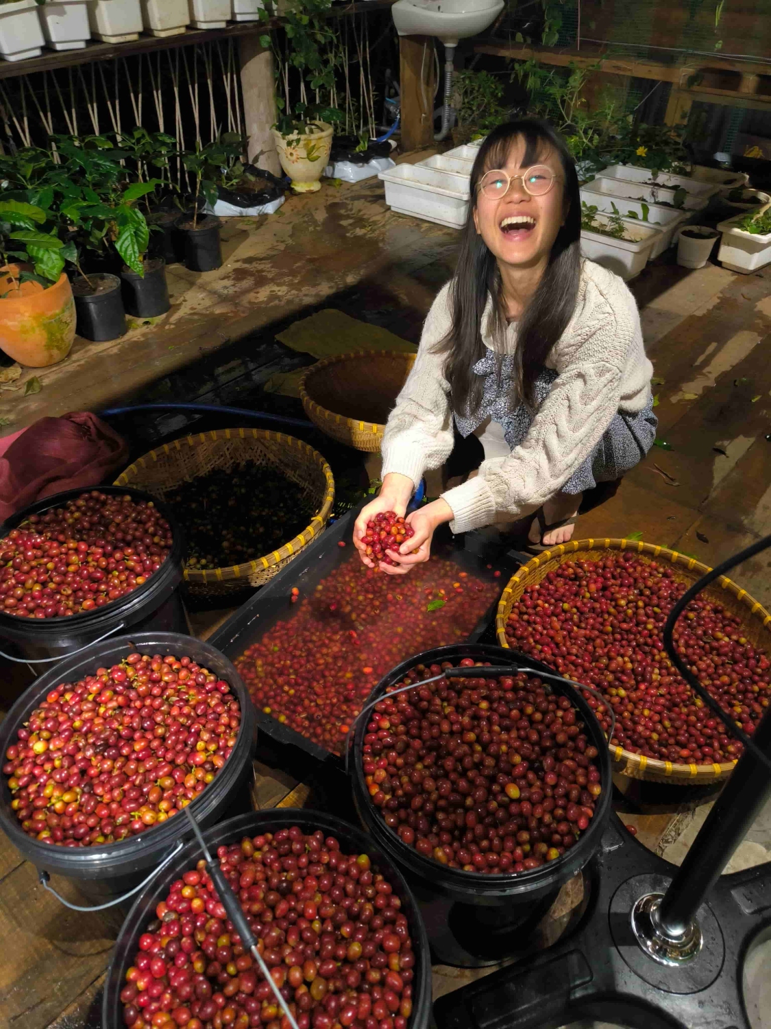 HuyEco Coffee & Culture – exhibition and production area highlighting chemical-free farming.